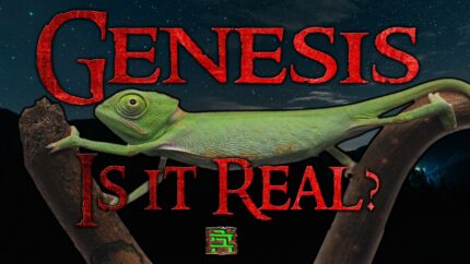 Cover art for Genesis: Is It Real?