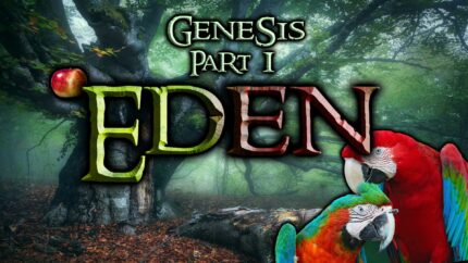 Cover art for Eden: Garden of God