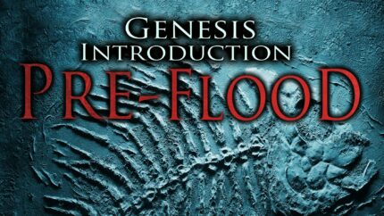 Cover art for Pre-Flood