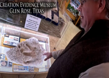 The Delk Print as seen in Pre-Flood Labs Trey Smith | The Creation Evidence Museum | Out of Place Artifacts and Evolution | GodinaNutshell.com