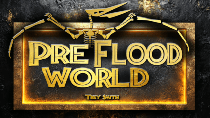 Cover art for PreFlood World