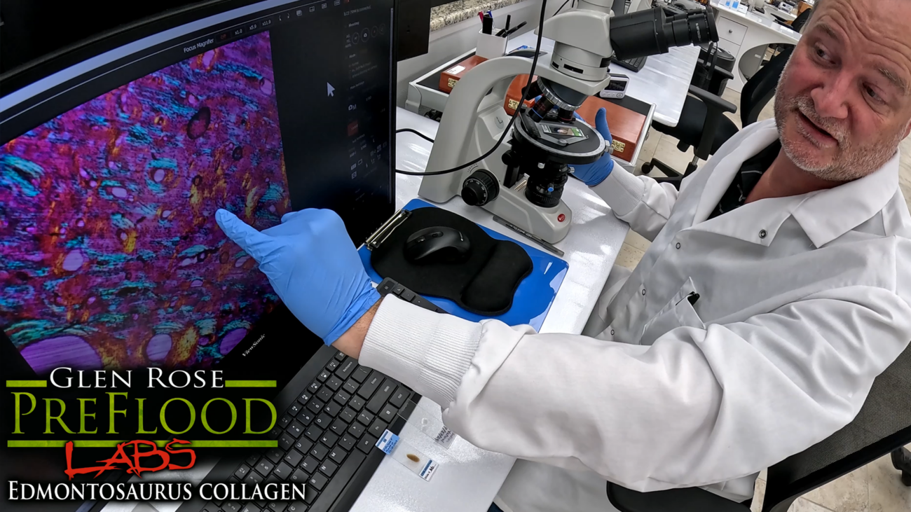 Preflood World dinosaur soft tissue